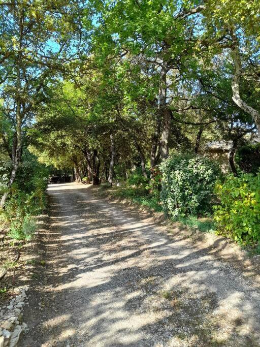 Villa Le Bosquet En Luberon. Ménerbes Exteriér fotografie