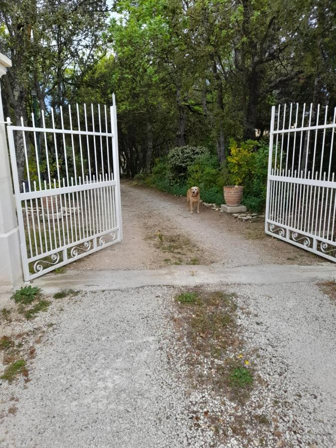 Villa Le Bosquet En Luberon. Ménerbes Exteriér fotografie